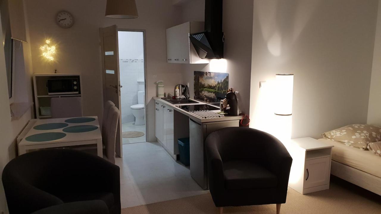 צ'רנקוב Apartament Strumyk מראה חיצוני תמונה